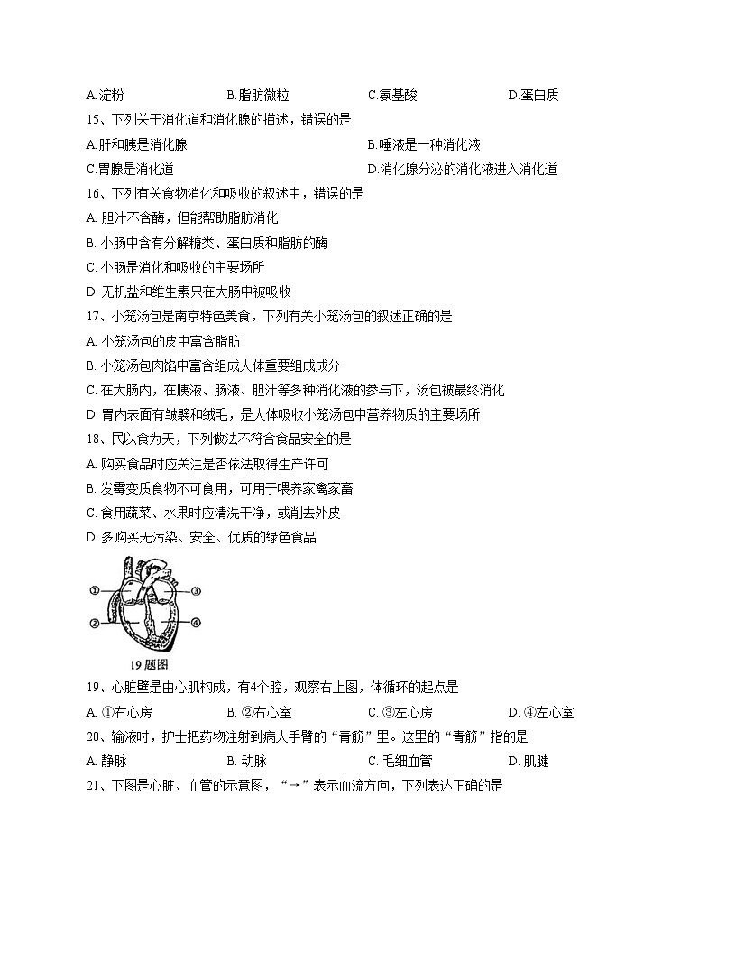 江苏省南京市金陵中学河西分校2025_2026学年八年级上学期期中考试生物试卷（文字版，含答案）第2页