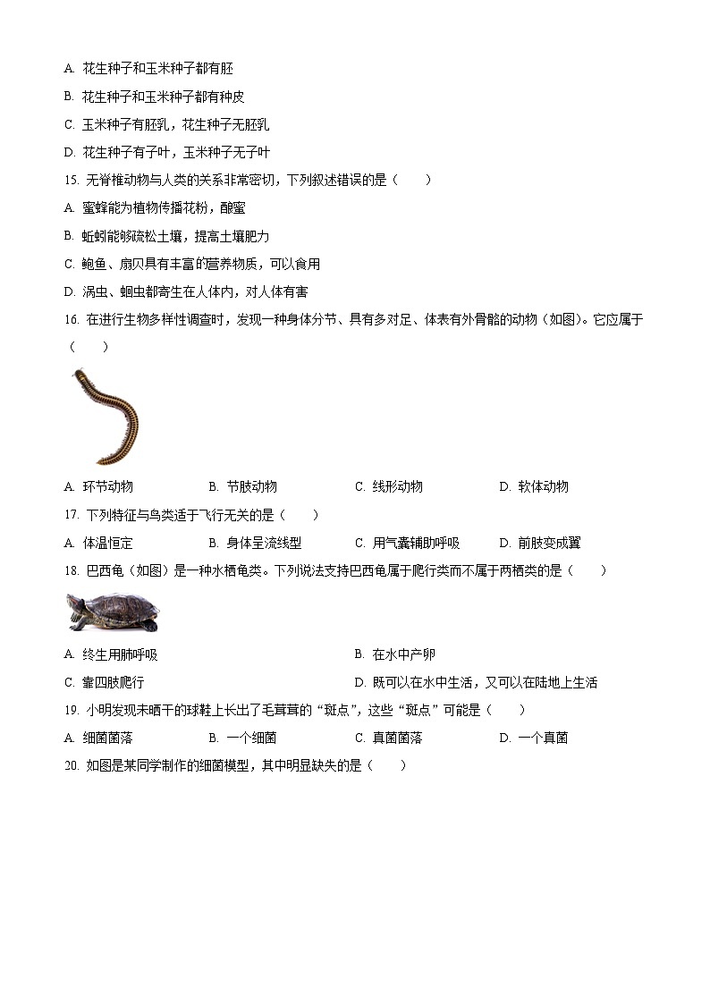 湖南省娄底市2025-2026学年七年级上学期期末生物学试题（原卷版+解析版）第3页