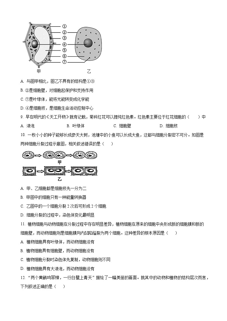 四川省乐山市市中区2025-2026学年七年级上学期期末生物学试题（原卷版+解析版）第3页