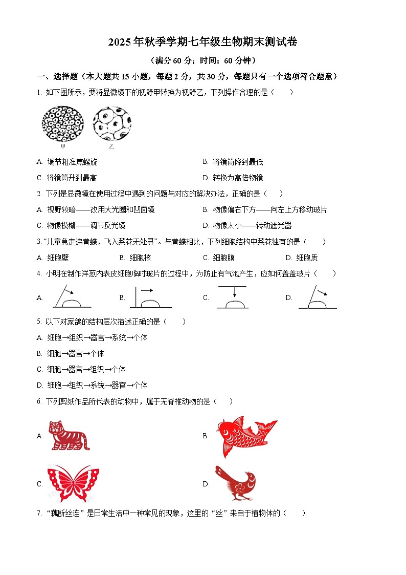 广西壮族自治区防城港市上思县2025-2026学年七年级上学期期末生物学试题（原卷版+解析版）第1页