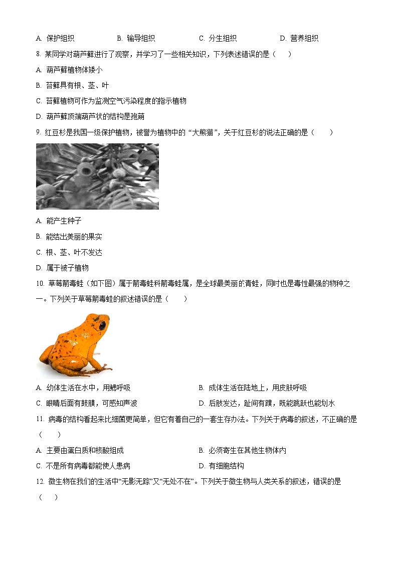 广西壮族自治区防城港市上思县2025-2026学年七年级上学期期末生物学试题（原卷版+解析版）第2页