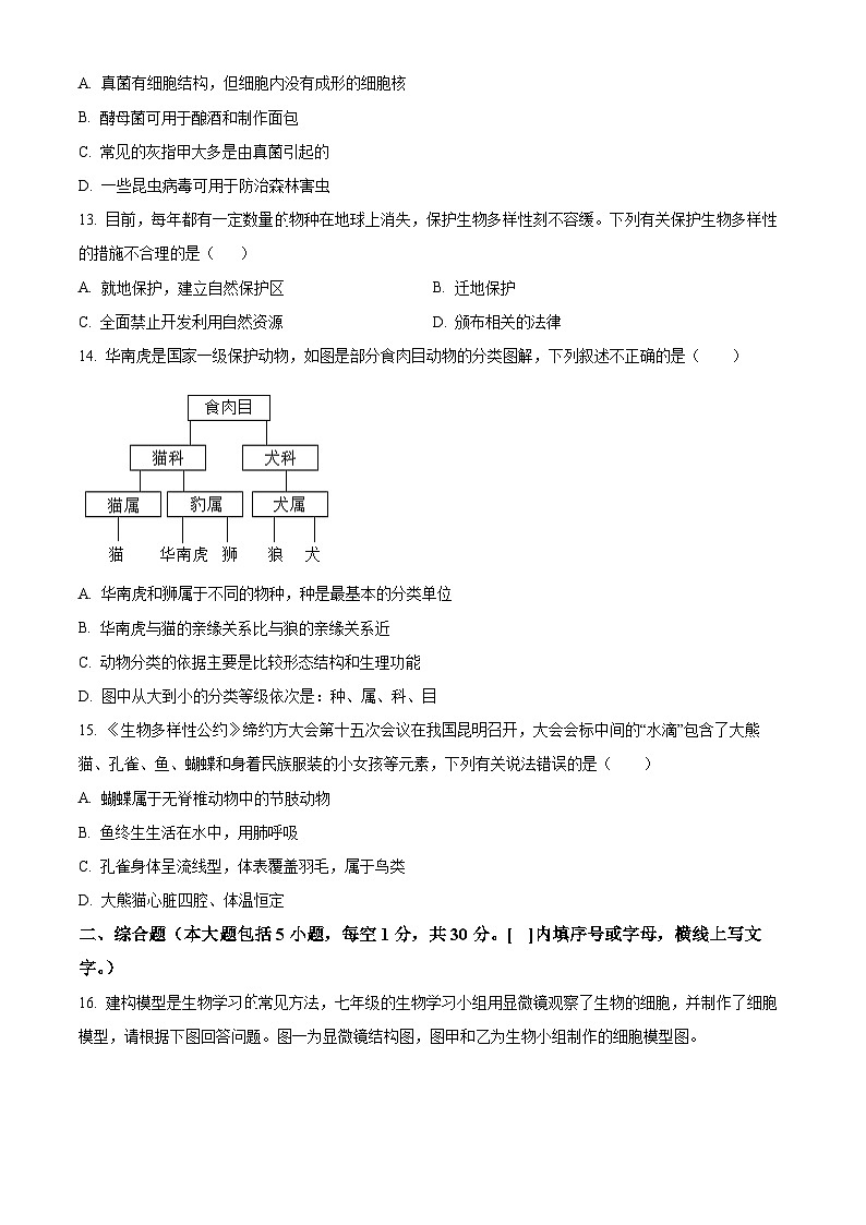 广西壮族自治区防城港市上思县2025-2026学年七年级上学期期末生物学试题（原卷版+解析版）第3页