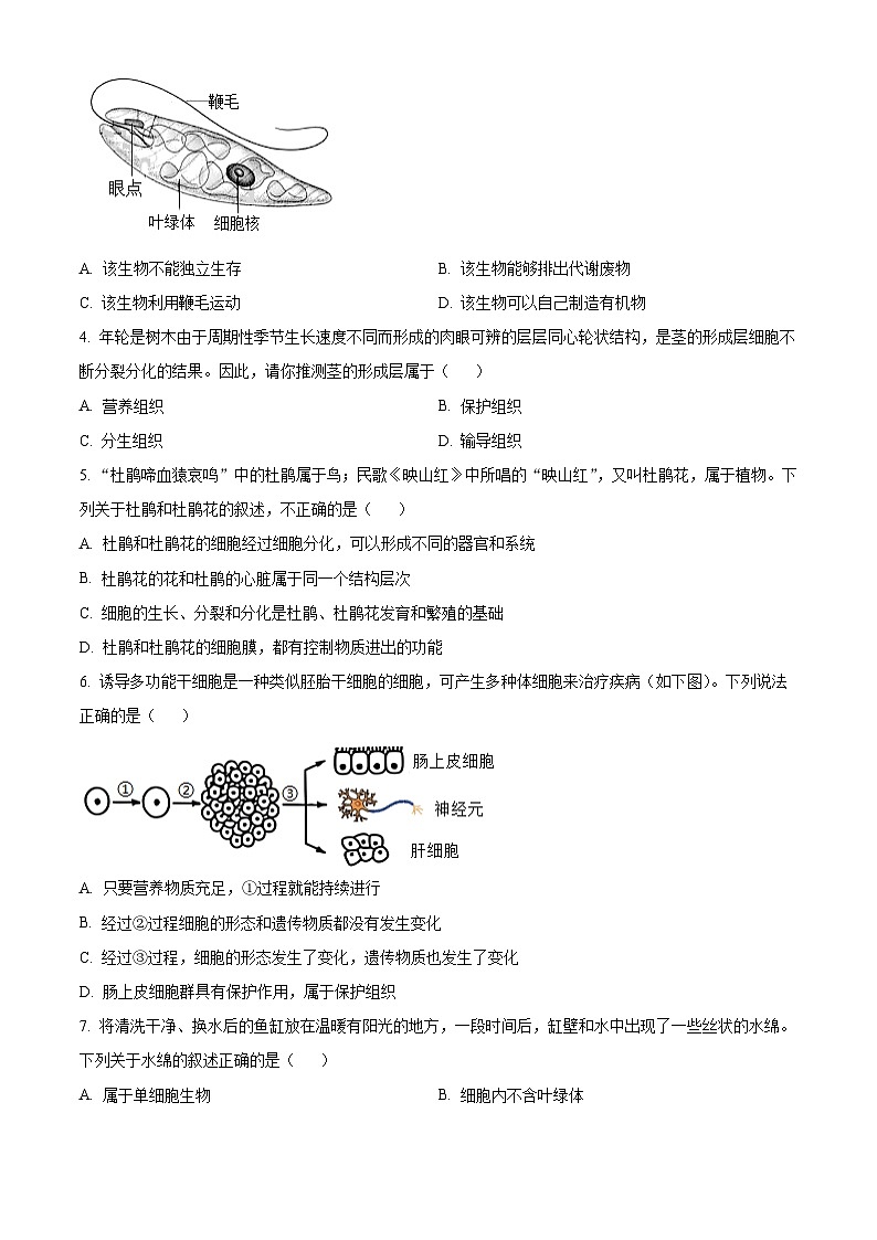 河北省唐山市路北区2025-2026学年七年级上学期期末生物学试题（原卷版+解析版）第2页