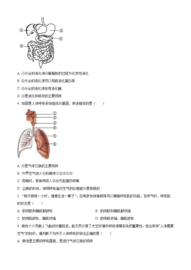 山东省济宁市梁山县2026年八年级上学期期末生物学试题（原卷版+解析版）第2页