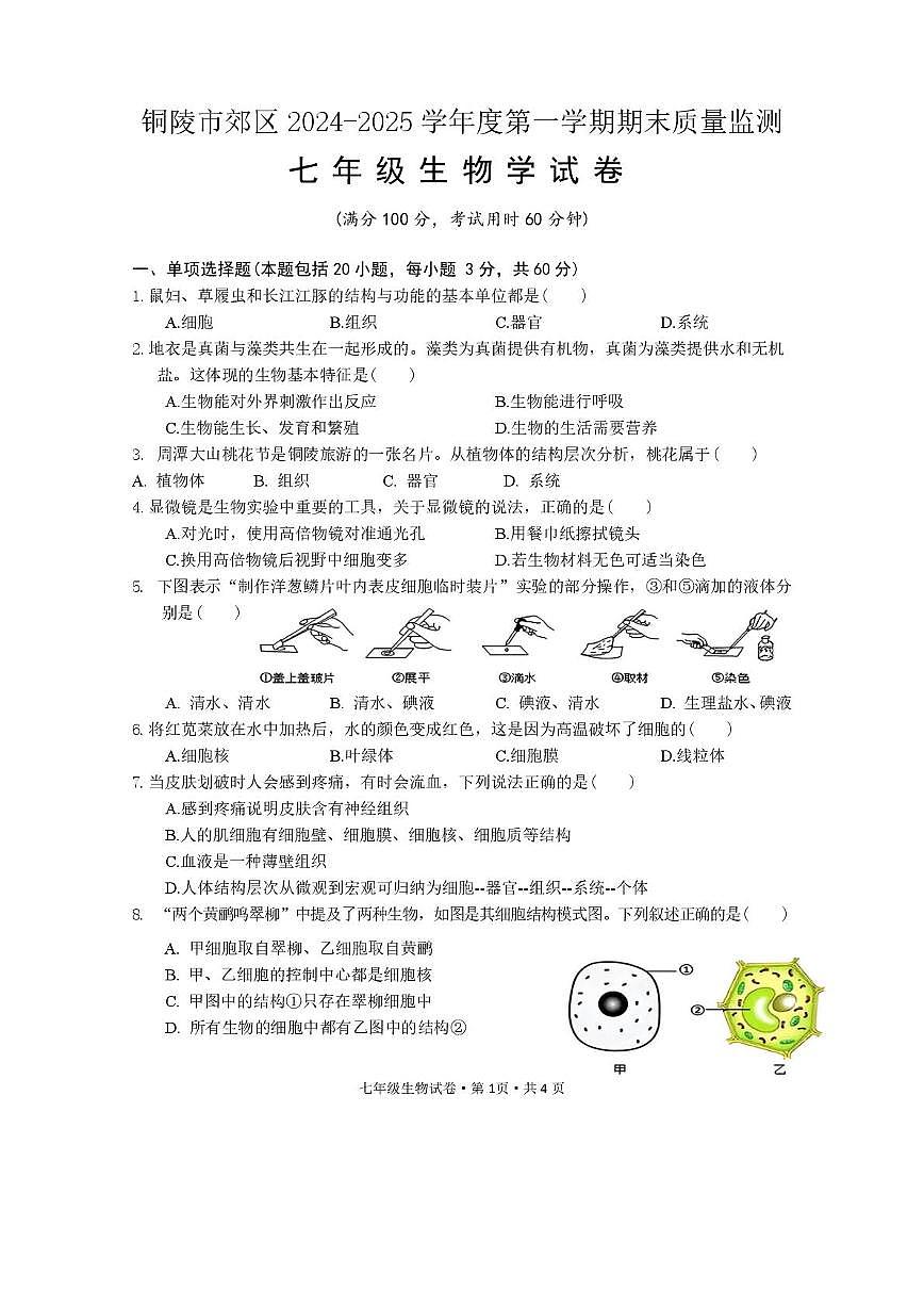 安徽省铜陵市郊区2024-2025学年度第一学期期末质量监测七年级生物学试卷第1页