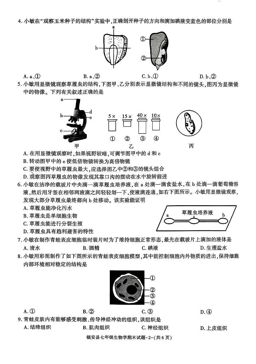 陕西省商洛市镇安县2025-2026学年第一学期期末考试七年级生物学试题第2页