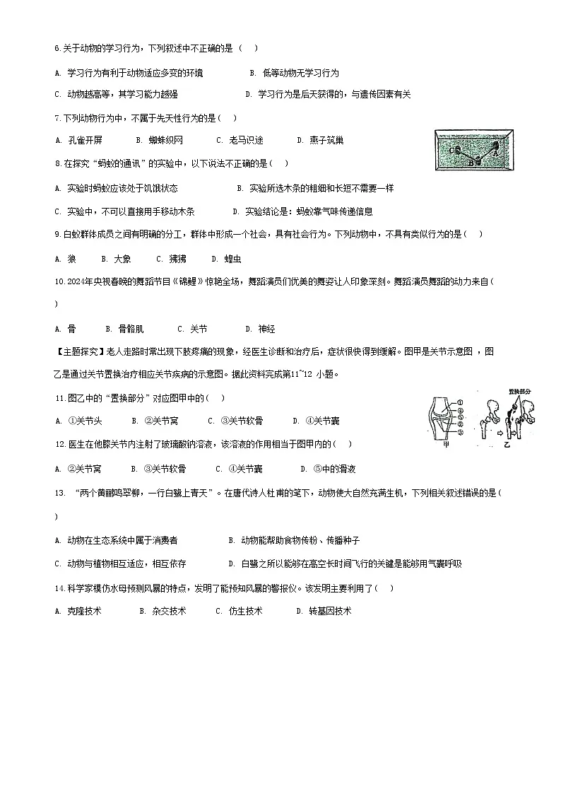 广东省梅州市兴宁市实验学校教育集团(五校联考)2024-2025学年八年级上学期11月期中生物试题-A4第2页