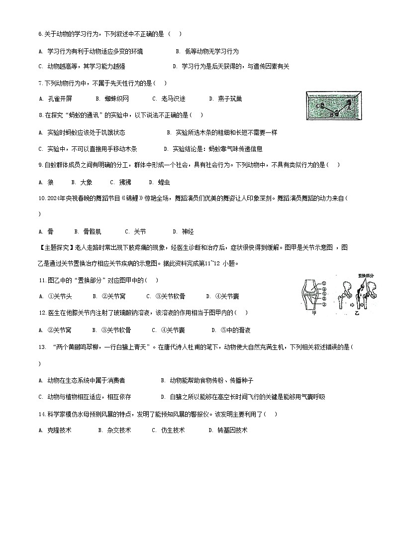 广东省梅州市兴宁市实验学校教育集团(五校联考)2024-2025学年八年级上学期11月期中生物试题-A4第2页