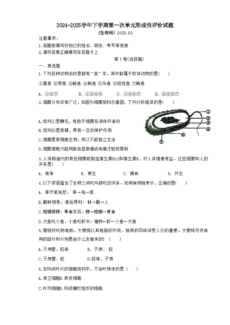 广东省梅州市兴宁市实验学校、宁江中学2024-2025学年八年级下学期3月月考生物试题-A4第1页