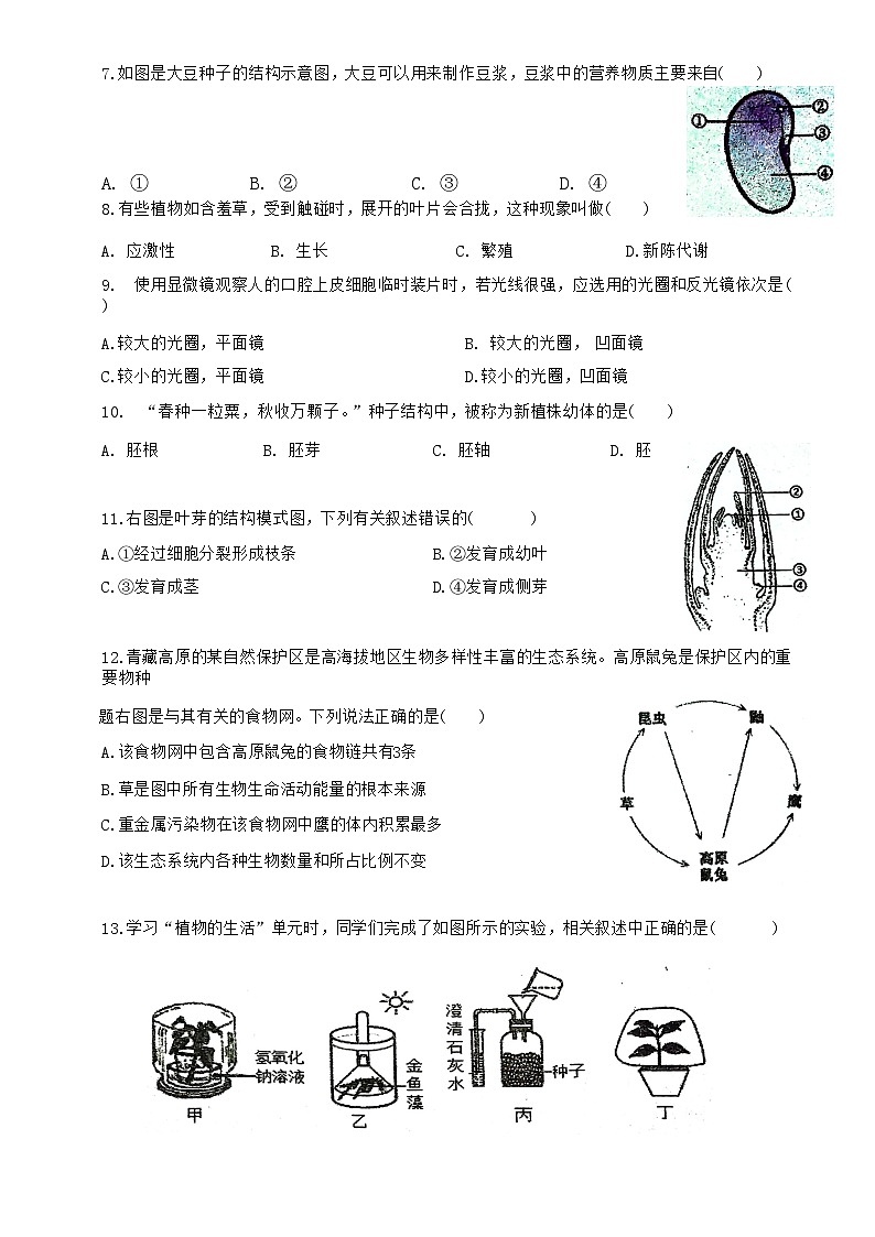 广东省梅州市兴宁市实验学校、宁江中学2024-2025学年八年级下学期3月月考生物试题-A4第2页