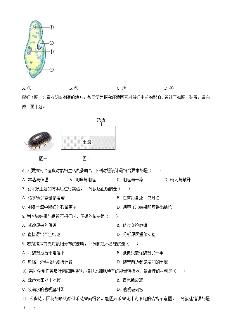 广东省清远市英德市七年级上学期期末生物试题（原卷版）-A4第2页