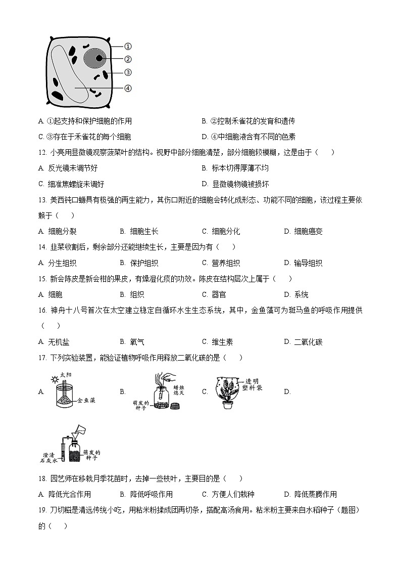 广东省清远市英德市七年级上学期期末生物试题（原卷版）-A4第3页