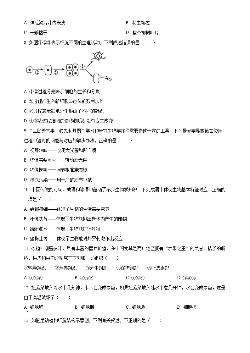 广东省江门市恩平市七年级上学期期中生物学试题（原卷版）-A4第2页