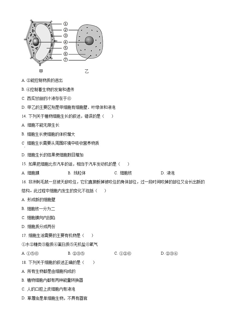 广东省江门市恩平市七年级上学期期中生物学试题（原卷版）-A4第3页