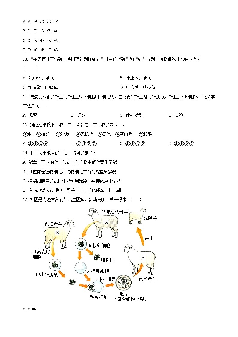 广东省江门市七年级上学期期中生物试题（原卷版）-A4第3页
