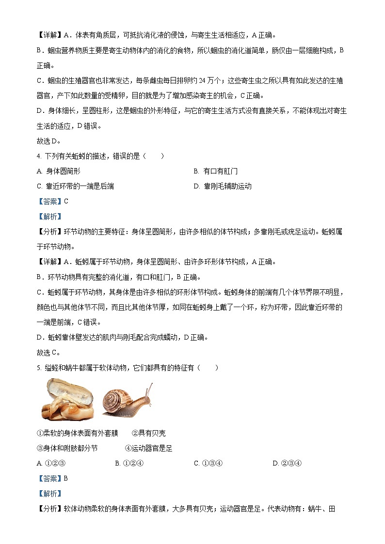 广东省江门市恩平市八年级上学期期中生物试题（解析版）-A4第2页