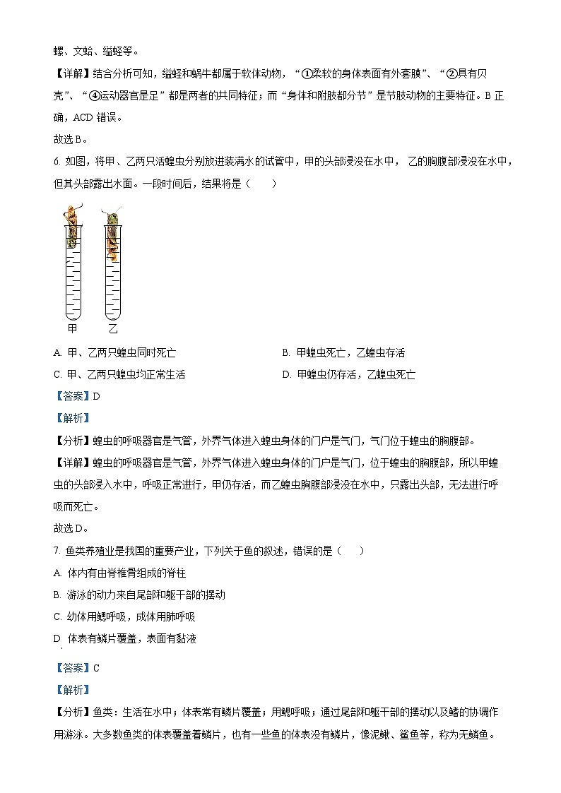广东省江门市恩平市八年级上学期期中生物试题（解析版）-A4第3页