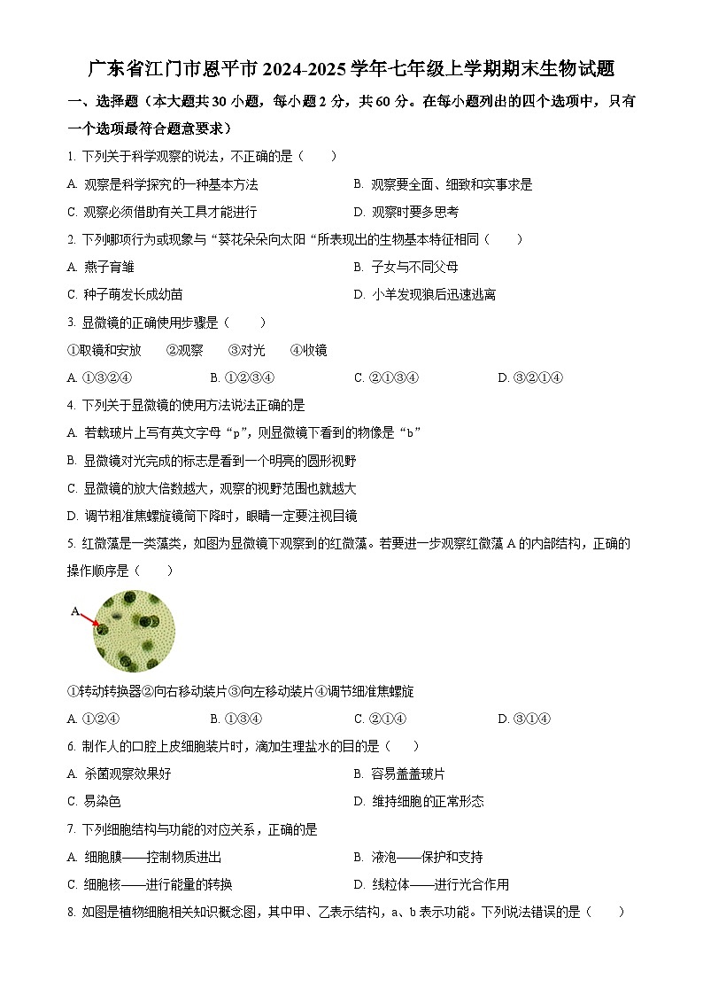广东省江门市恩平市七年级上学期期末生物试题（原卷版）-A4第1页