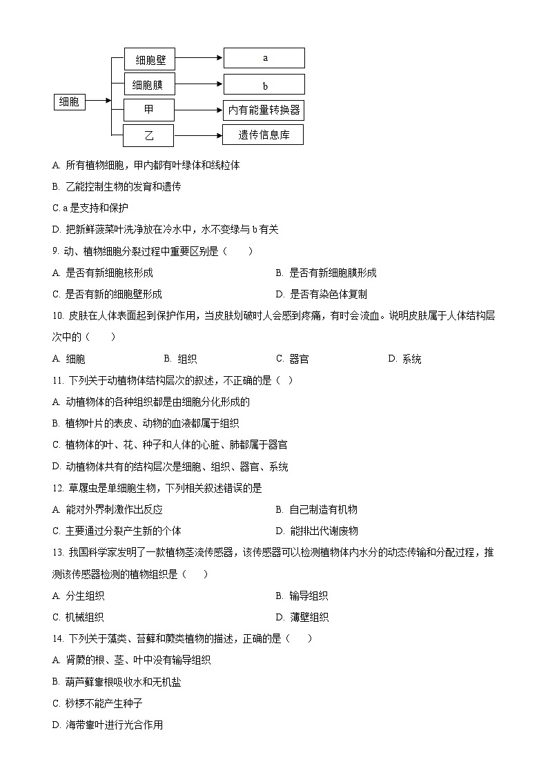 广东省江门市恩平市七年级上学期期末生物试题（原卷版）-A4第2页
