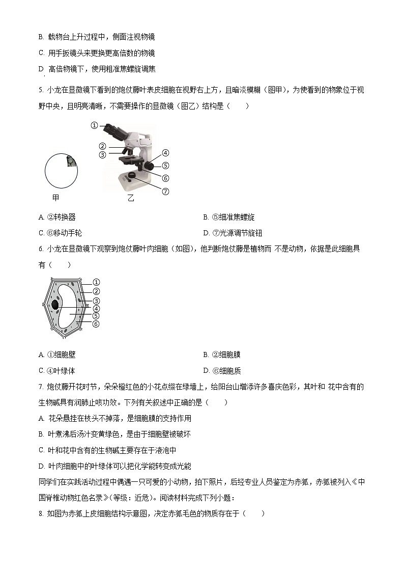 广东省深圳市龙华区七年级上学期期末生物试题（原卷版）-A4第2页