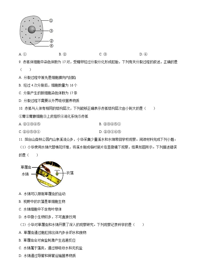 广东省深圳市龙华区七年级上学期期末生物试题（原卷版）-A4第3页