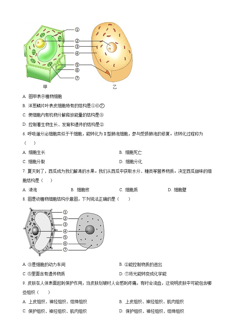 广东省东莞市塘厦初级中学七年级上学期期中生物学试题（原卷版）-A4第2页
