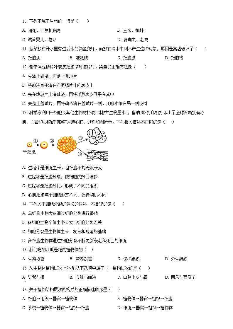 广东省东莞市塘厦初级中学七年级上学期期中生物学试题（原卷版）-A4第3页