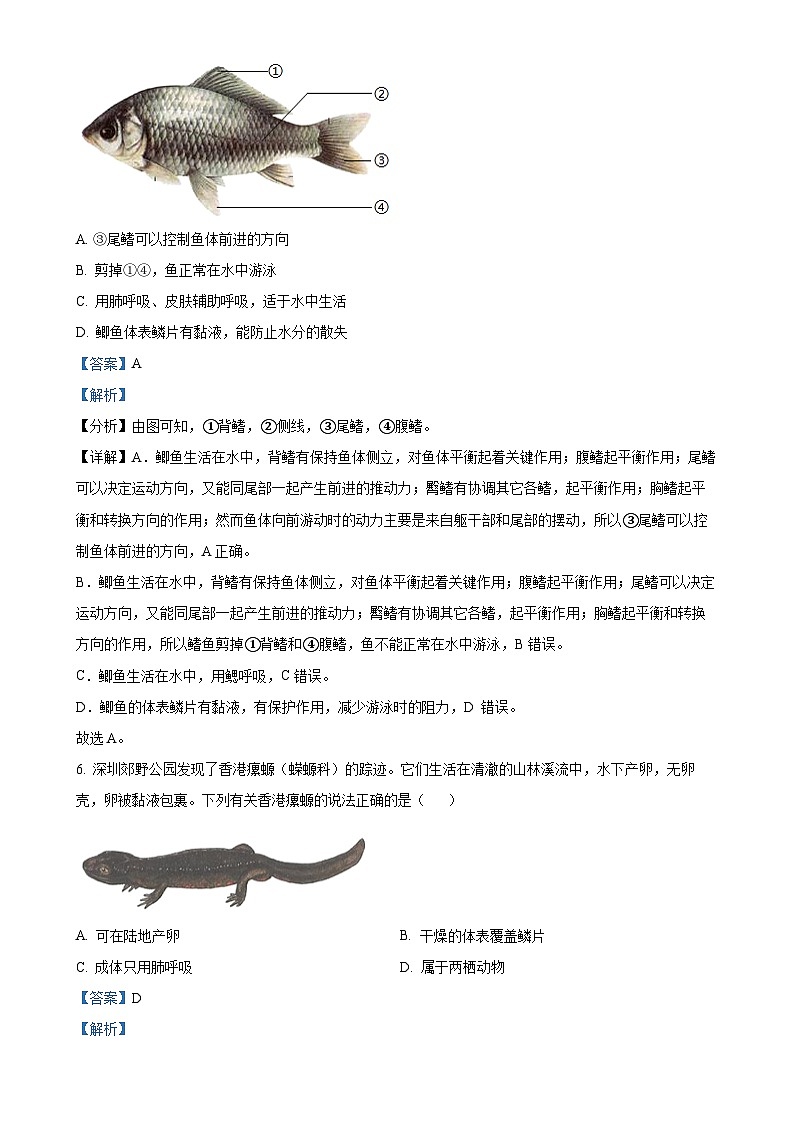 广东省深圳市福田区八年级上学期期末生物试题（解析版）-A4第3页