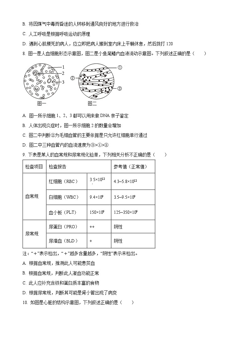 山东省济南市长清区2025-2026学年八年级上学期期末生物学试题（原卷版+解析版）第3页