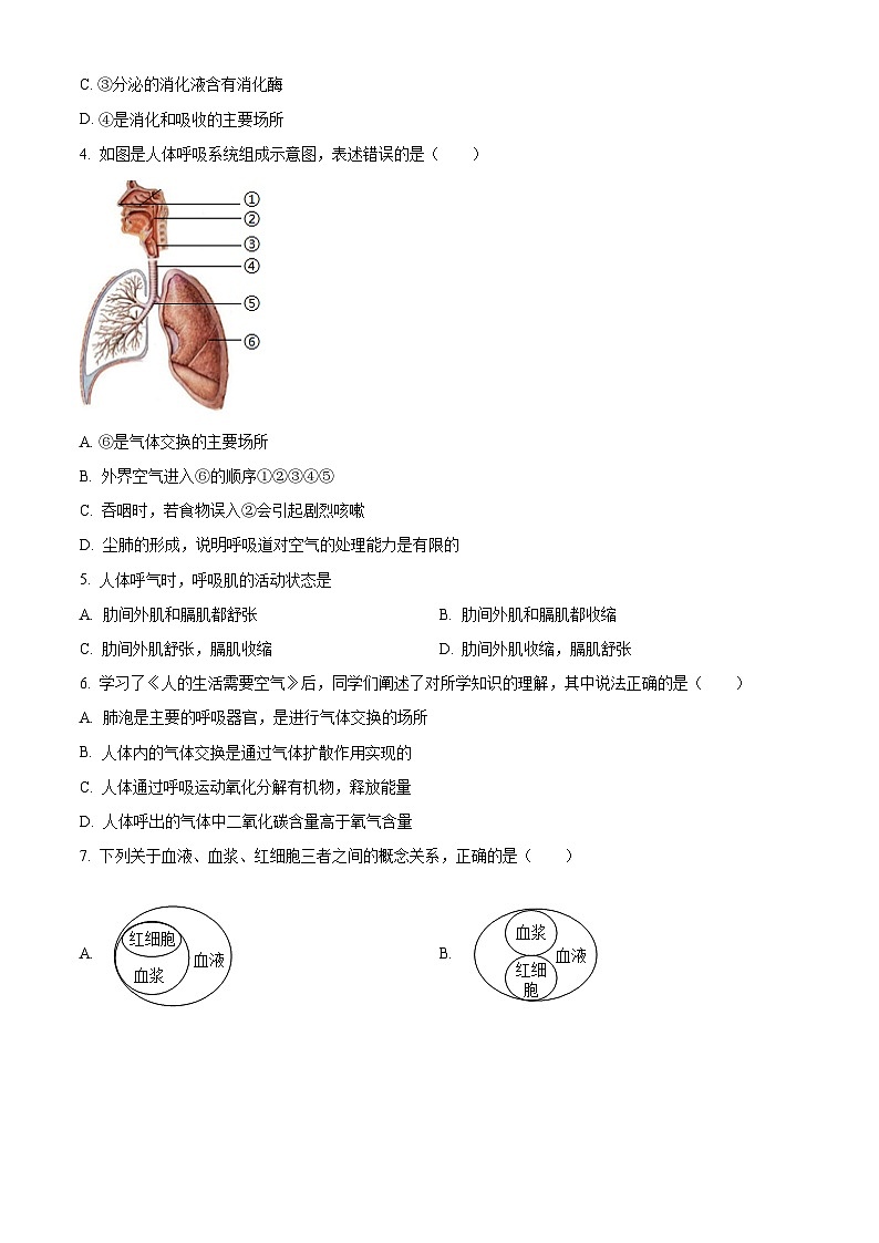 山东省济宁市金乡县2025-2026学年八年级上学期期末生物学试题（原卷版+解析版）第2页