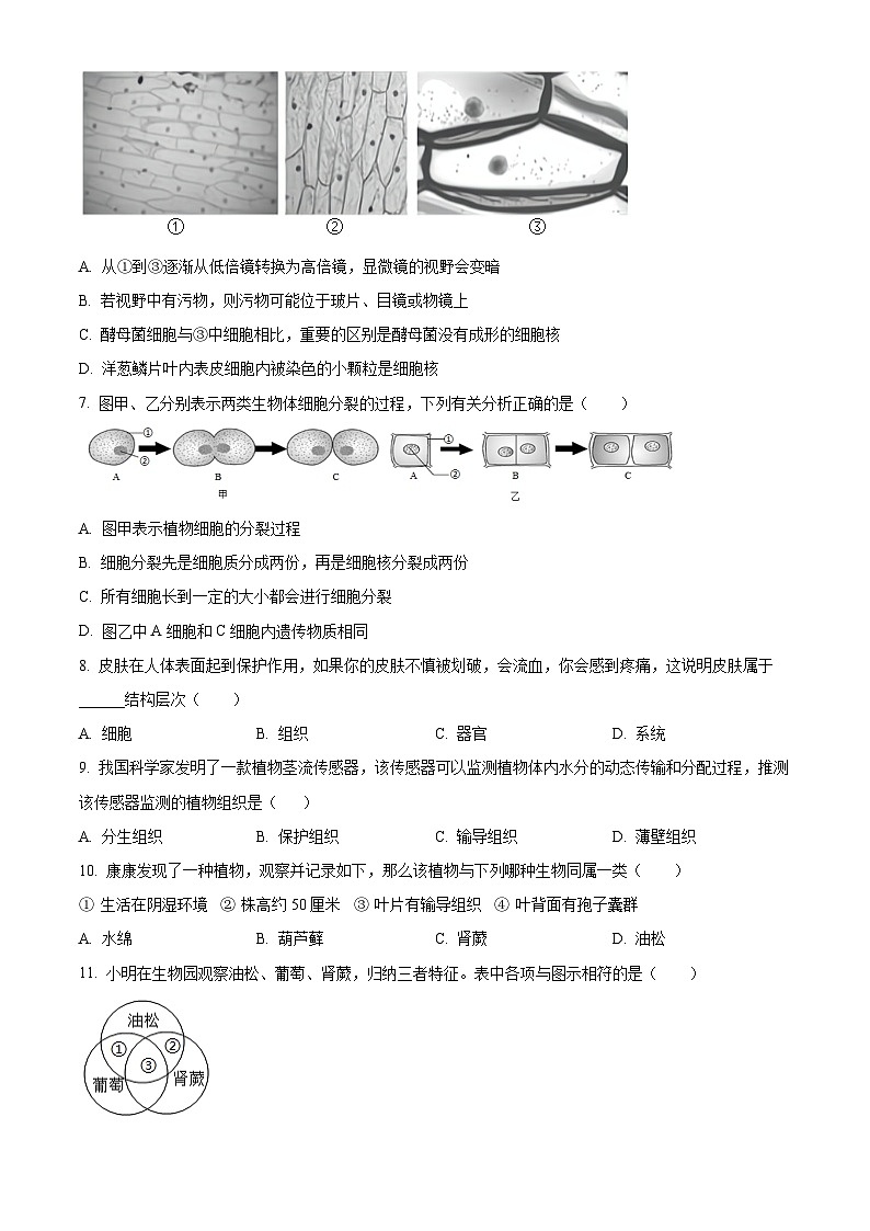 山东省济宁市金乡县2025-2026学年七年级上学期期末生物学试题（原卷版+解析版）第2页