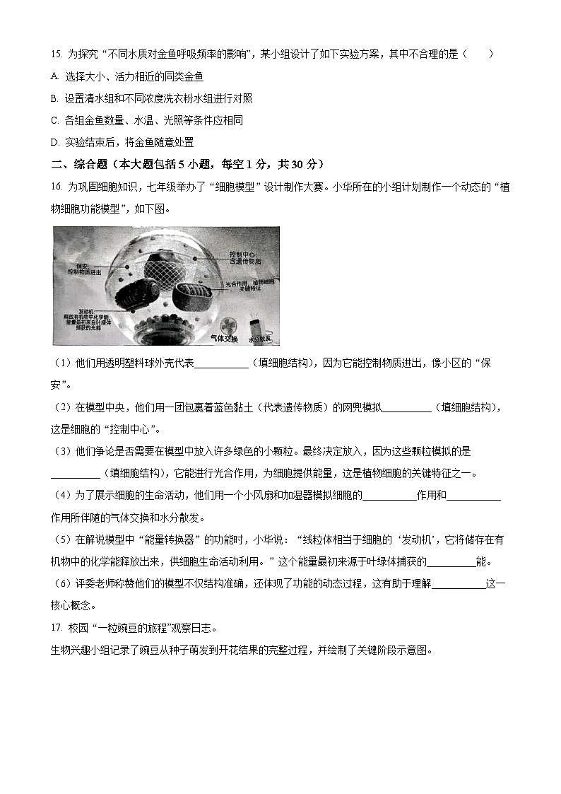 广西崇左市宁明县2025-2026学年七年级上学期期末生物学试题（原卷版+解析版）第3页