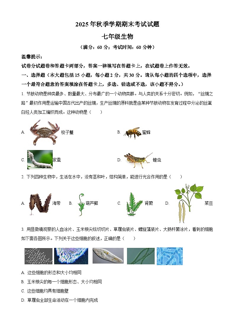 广西钦州市灵山县2025-2026学年七年级上学期期末生物学试题（原卷版+解析版）第1页