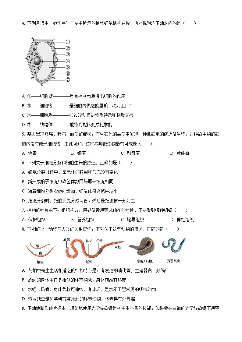 广西钦州市灵山县2025-2026学年七年级上学期期末生物学试题（原卷版+解析版）第2页