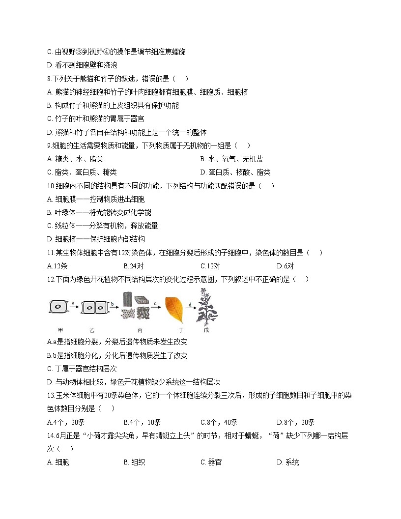 新疆维吾尔自治区和田地区皮山县2025_2026学年七年级上学期12月月考生物试题（文字版，含答案）第2页
