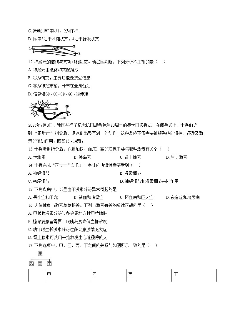 福建省泉州市永春县五中片区2025_2026学年八年级上学期期中生物试题（文字版，含答案）第3页