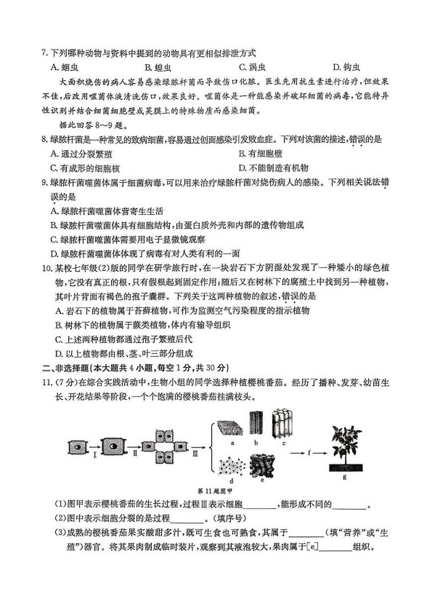 2025-2026学年湖北省鄂州市七年级上学期期末考试生物试卷（含答案）第2页