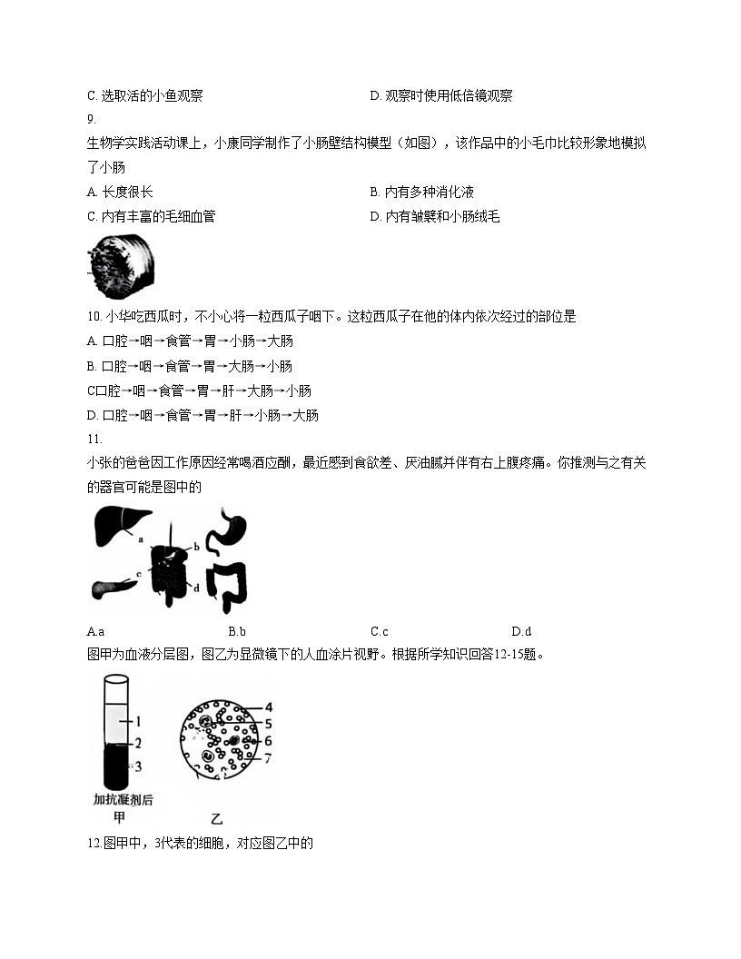 山西省运城市临猗县2025_2026学年八年级上学期期中学业质量生物检测试题（文字版，含答案）第3页