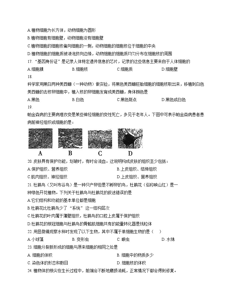 北京市一零九中2025__2026学年七年级上学期期中生物试题（文字版，含答案）第3页