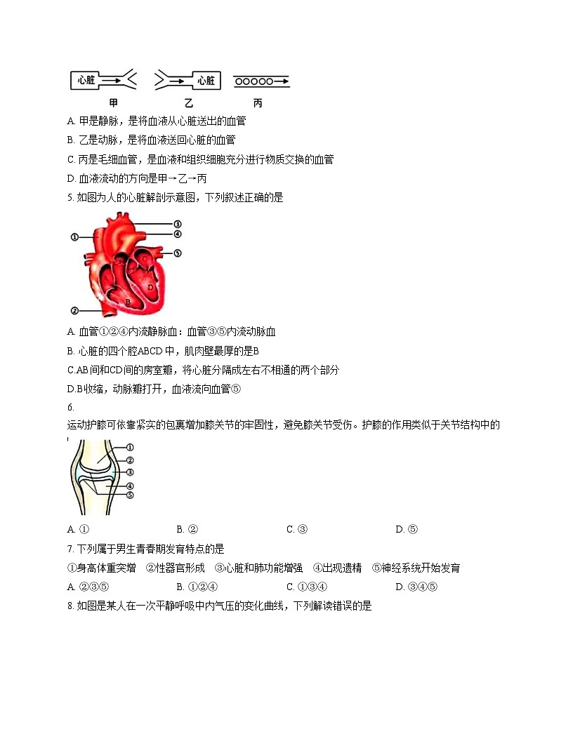 辽宁省辽阳市第二中学2025_2026学年八年级上学期12月月考生物试卷（文字版，含答案）第2页