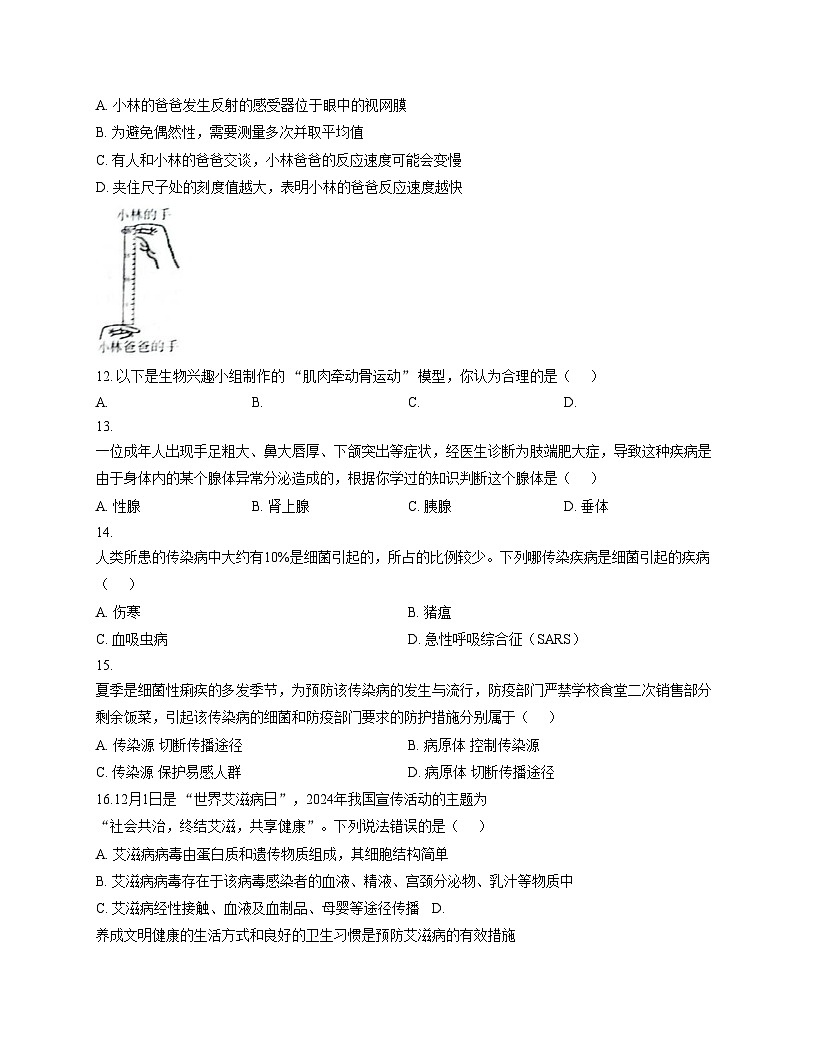 河南省郑州市高新区2025_2026学年八年级上学期生物学期中试题（文字版，含答案）第3页