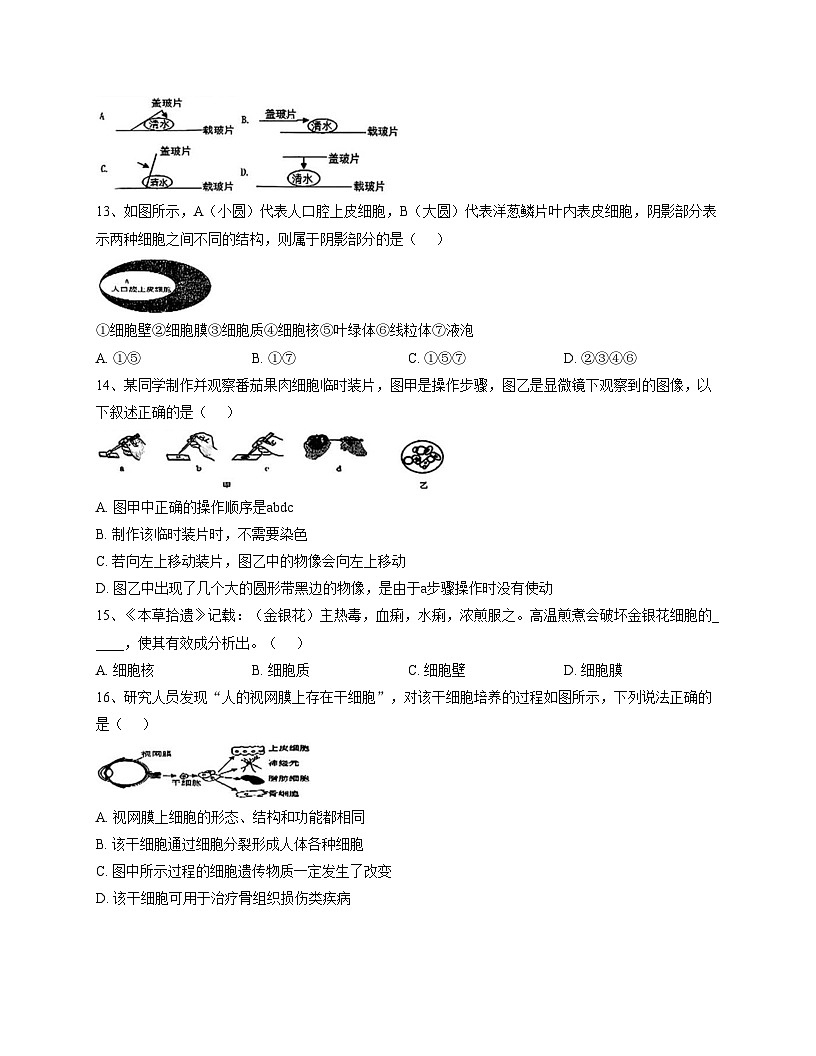 山东省德州市德城区五校联考2025_2026学年七年级上学期期中生物试题（扫描版，含答案）第3页