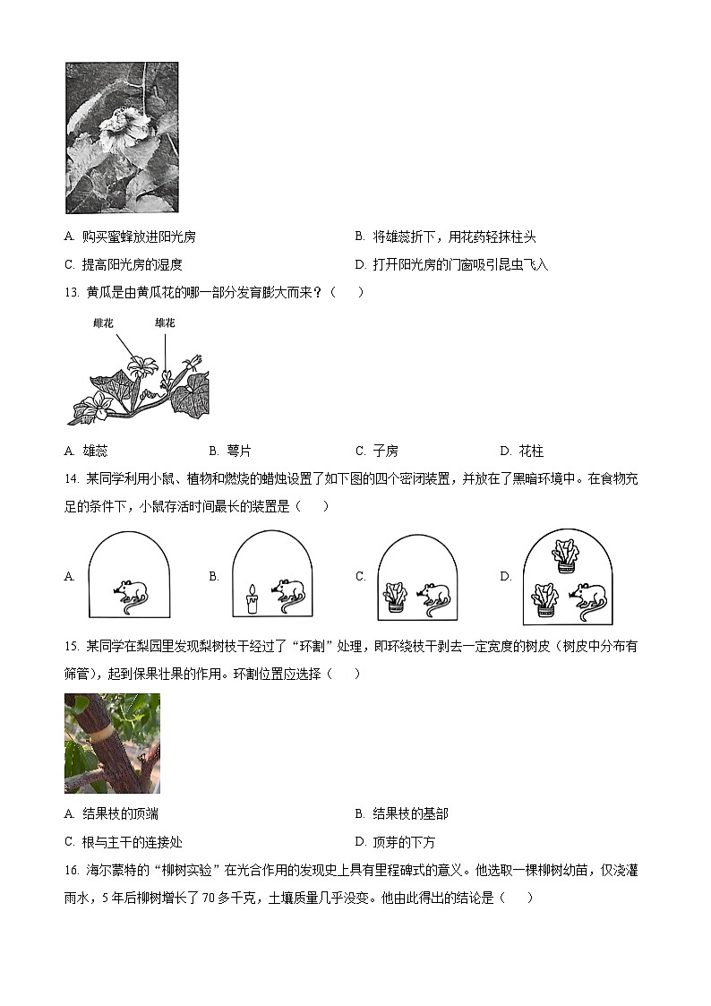 河北省保定市莲池区2025-2026学年八年级上学期期末生物学试题（原卷版+解析版）第3页