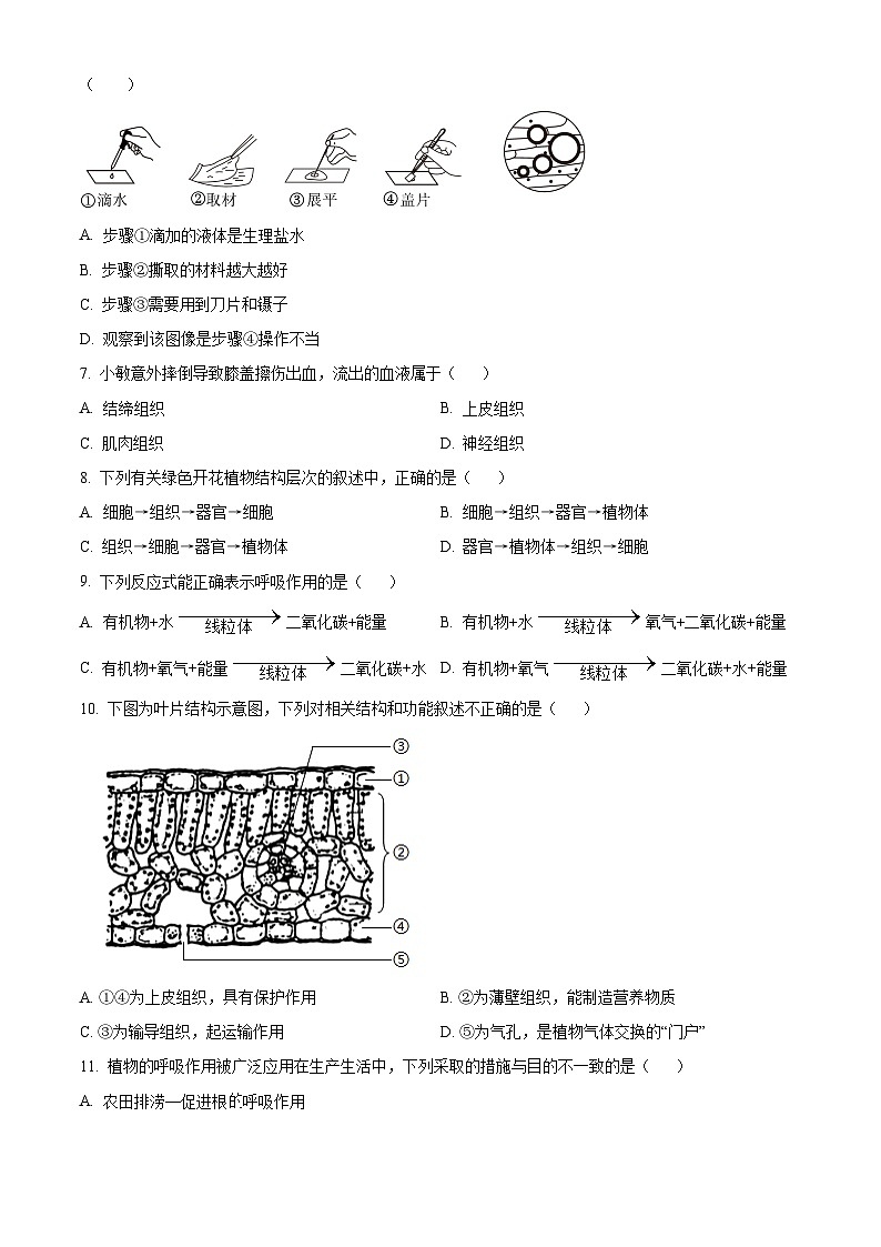 河南省驻马店市西平县2025-2026学年七年级上学期期末生物学试题（原卷版+解析版）第2页