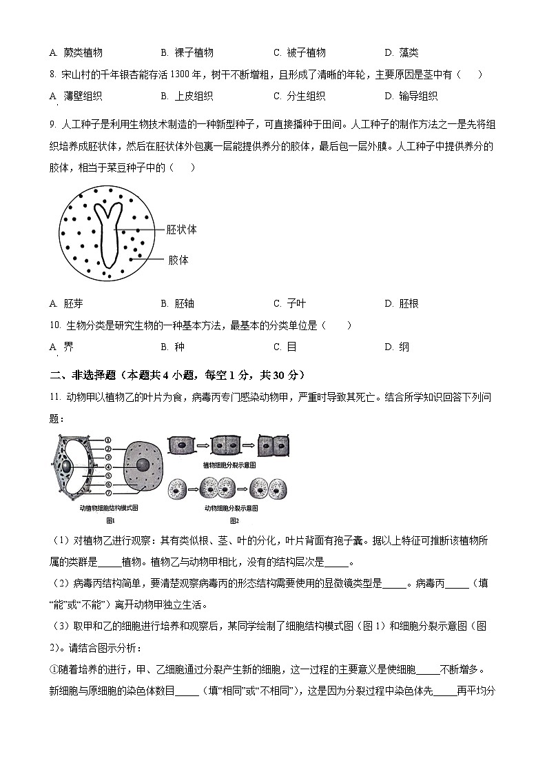 湖北省黄石市阳新县2025-2026学年七年级上学期期末生物学试题（原卷版+解析版）第2页