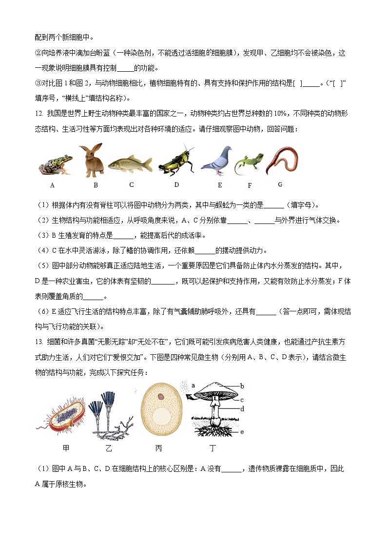 湖北省黄石市阳新县2025-2026学年七年级上学期期末生物学试题（原卷版+解析版）第3页