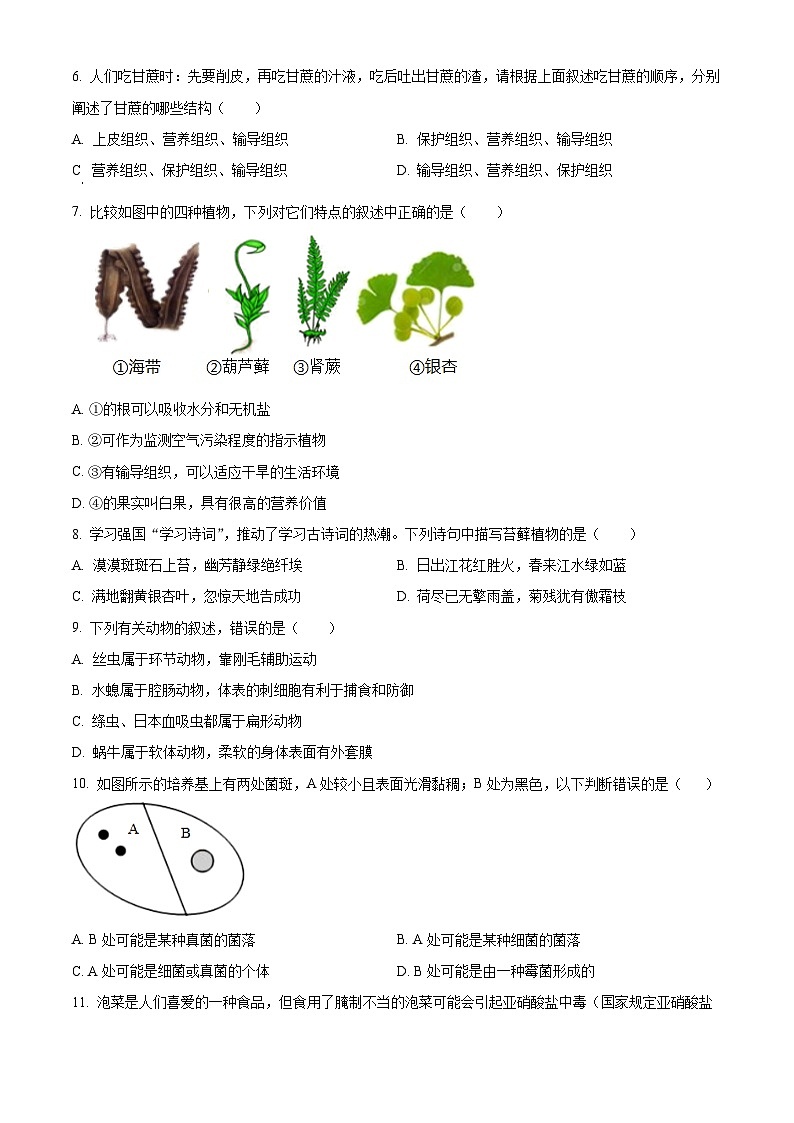 湖南省衡阳市衡山县2025-2026学年七年级上学期期末生物学试题（原卷版+解析版）第2页