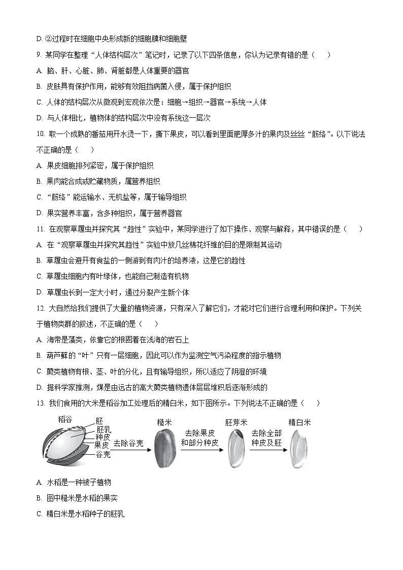 四川省宜宾市长宁县2025-2026学年七年级上学期期末生物学试题（原卷版+解析版）第3页