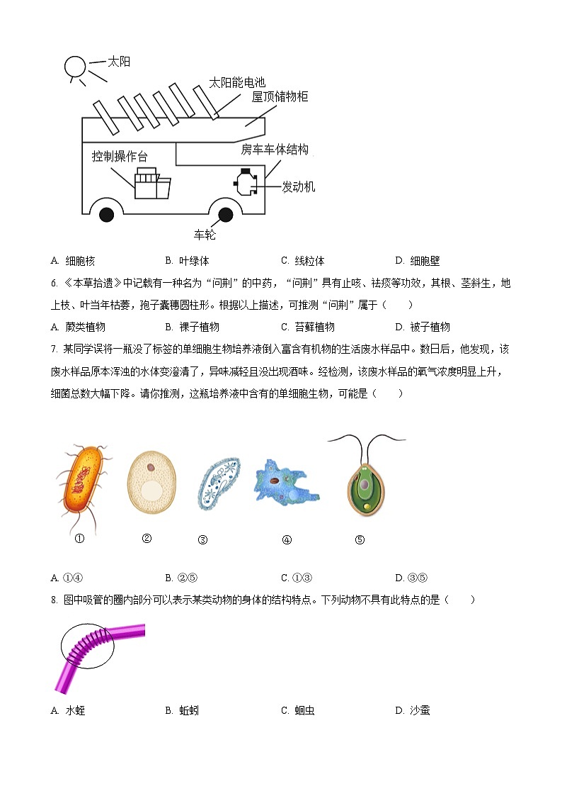 广东省佛山市禅城区2025-2026学年七年级上学期期末生物学试题（原卷版+解析版）第2页