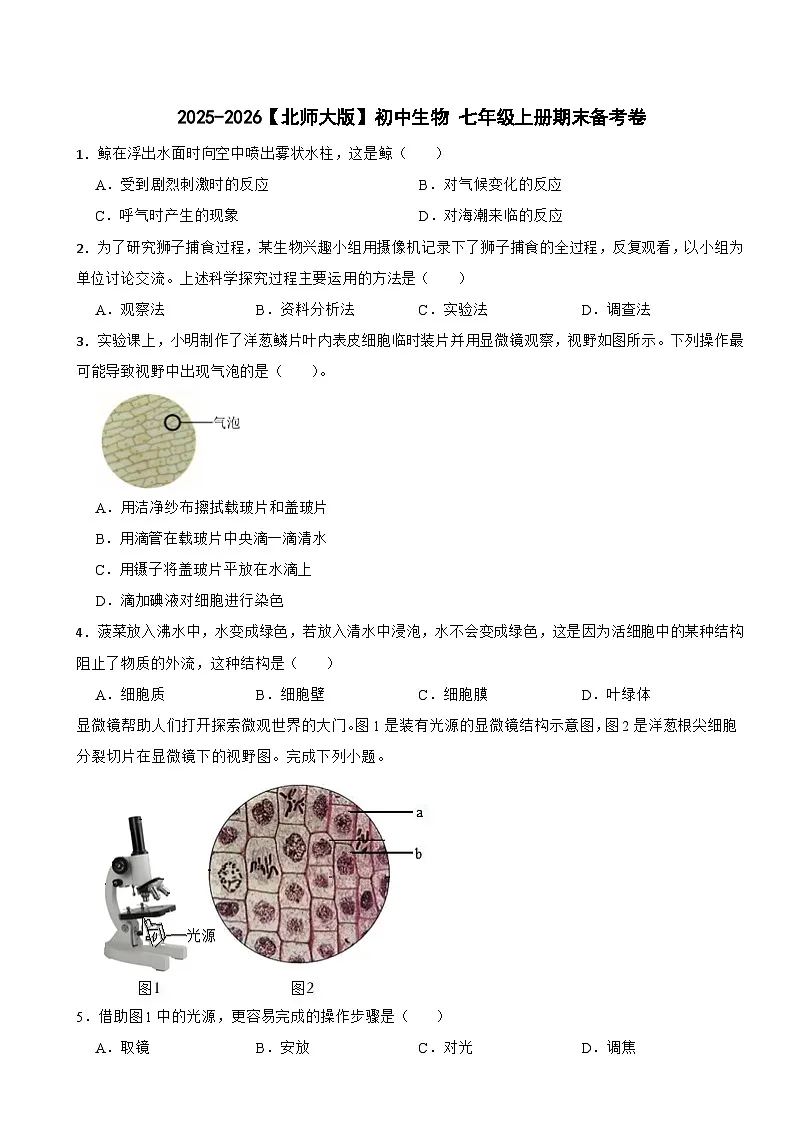 2025-2026【北师大版】初中生物 七年级上册期末备考卷第1页